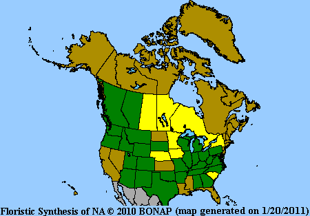 Allium Range Map